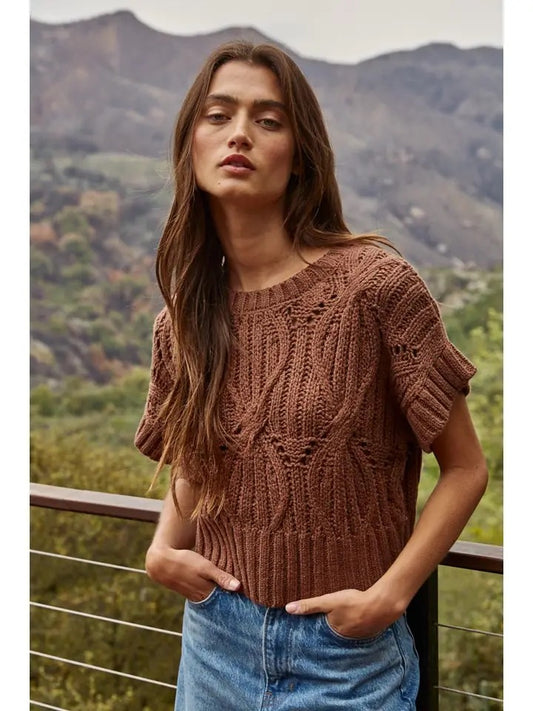 Knit Sweater Crochet Round Neck Short Sleeve Top